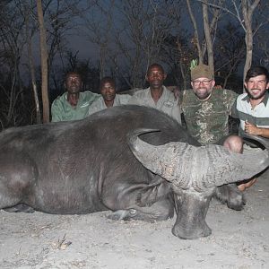 Buffalo Hunt Namibia