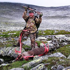 Hunting Caribou Norway