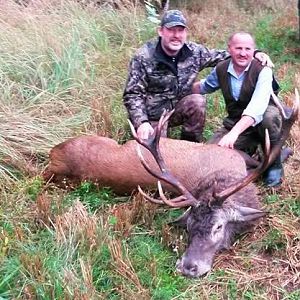 Poland Hunt Stag