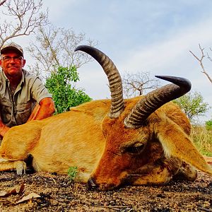 Benin Hunt Bohor Reedbuck