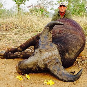 West Arrican Savanah Buffalo Hunt Benin