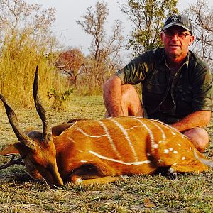 Harnessed Bushbuck Hunting Benin