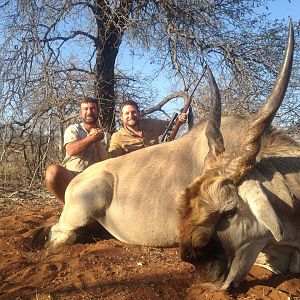 Eland Hunt in South Africa