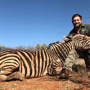 South Africa Hunting Burchell's Plain Zebra