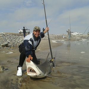 Fishing Bronze Whaler Shark Namibia