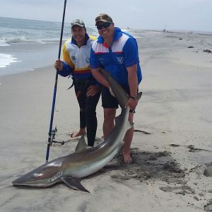 Namibia Fishing Bronze Whaler Shark