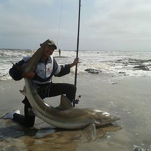 Bronze Whaler Shark Fishing Namibia