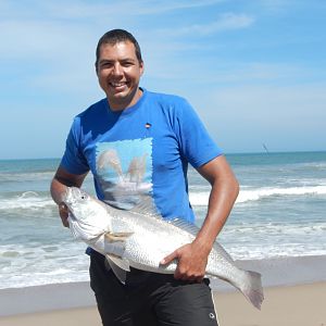 Namibia Fishing Kob