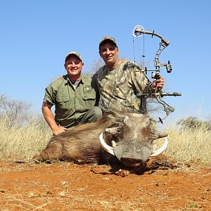 South Africa Bow Hunt Warthog