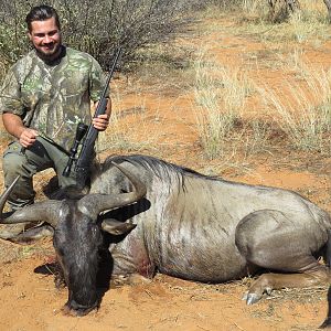 Hunt Blue Wildebeest South Africa