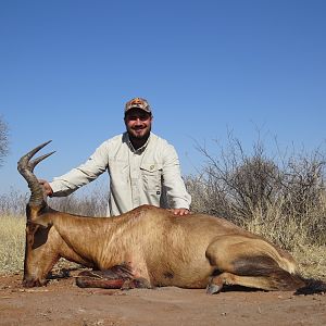 Hunt Red Hartebeest South Africa