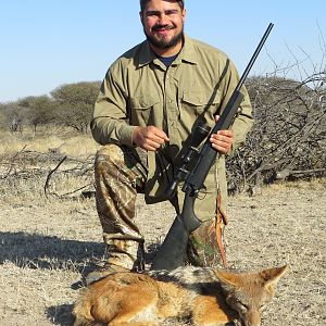 Jackal Hunt South Africa