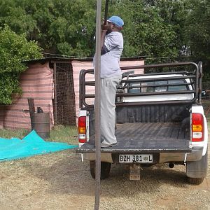 Hunting Black Mamba South Africa