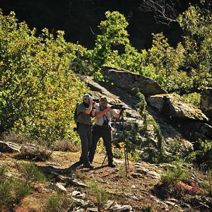 Glassing Game & Hunting from Shooting Stick France