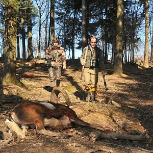 France Mouflon Hunt