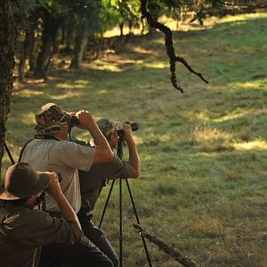 Glassing Game & Hunting with Shooting Stick