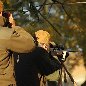 Glassing Game & Hunting with Shooting Stick