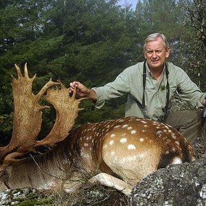 Hunting Fallow Deer France