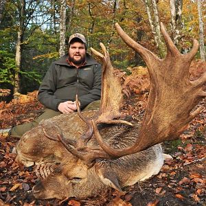 Fallow Deer Hunting in France