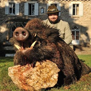 France Hunting Wild Boar