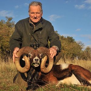 Mouflon Hunt in France