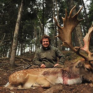 Hunting Fallow Deer France