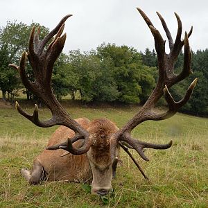 Red Deer Hunt in France