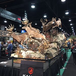 Buck Full Mount Taxidermy