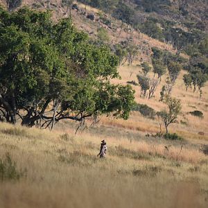 Waterberg Mountains, RSA