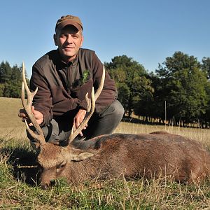 Hunting Sika Deer France