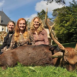 Sika Deer Hunt in France