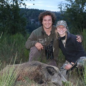 France Hunt Wild Boar