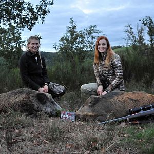 Wild Boars Hunting France