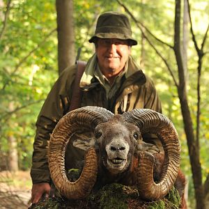 Hunt Mouflon in France