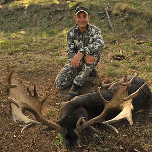 Fallow Deer Hunting in France