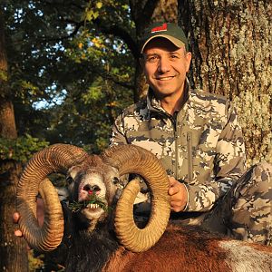 France Hunt Mouflon