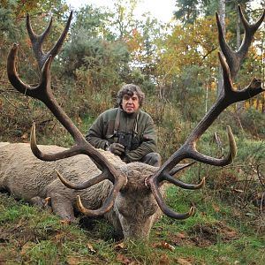 Hunting White Red stag France