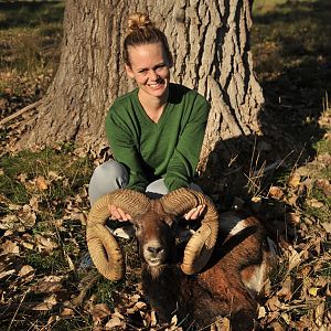 Hunt Mouflon France