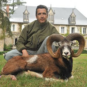 France Hunting Mouflon