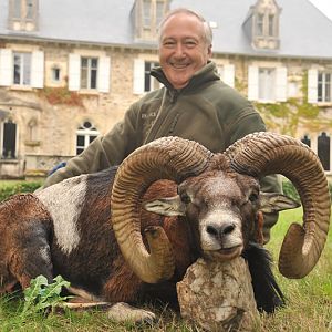 France Hunt Mouflon