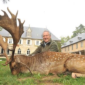 Hunting France Fallow Deer