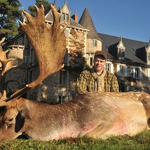 Hunt Fallow Deer France