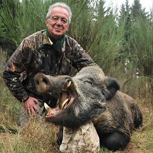 France Hunting Wild Boar