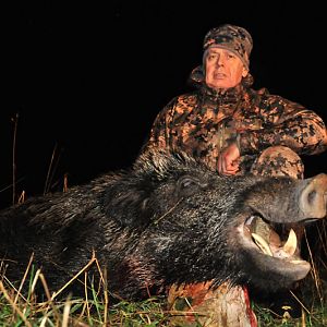 France Hunt Wild Boar