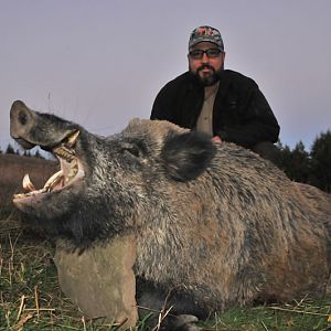 France Hunt Wild Boar