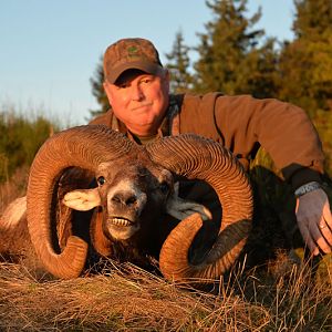 Hunt Mouflon France