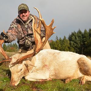 Fallow Deer Hunt France