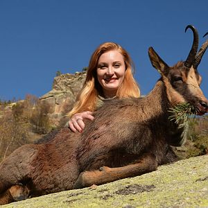 France Hunt Pyrenean Chamois