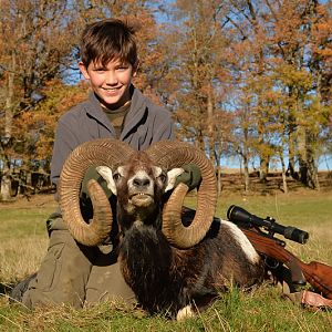 Mouflon Hunting in France