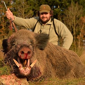 Hunt Wild Boar France